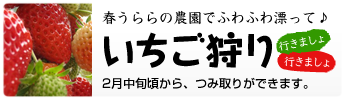 Link:いちご狩りのご案内